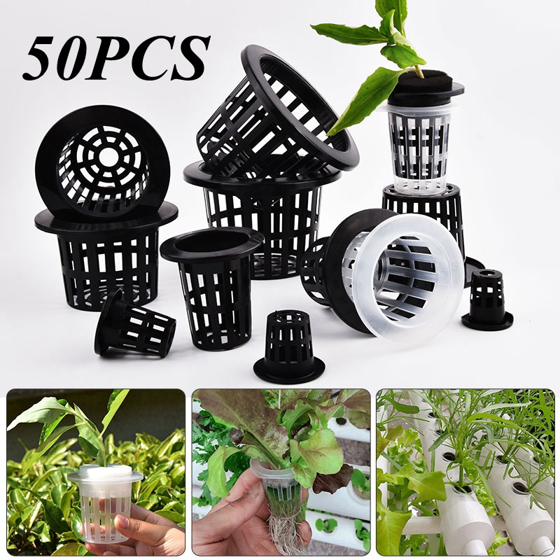 Aloe Vera Pot - 50 piezas de macetas de malla