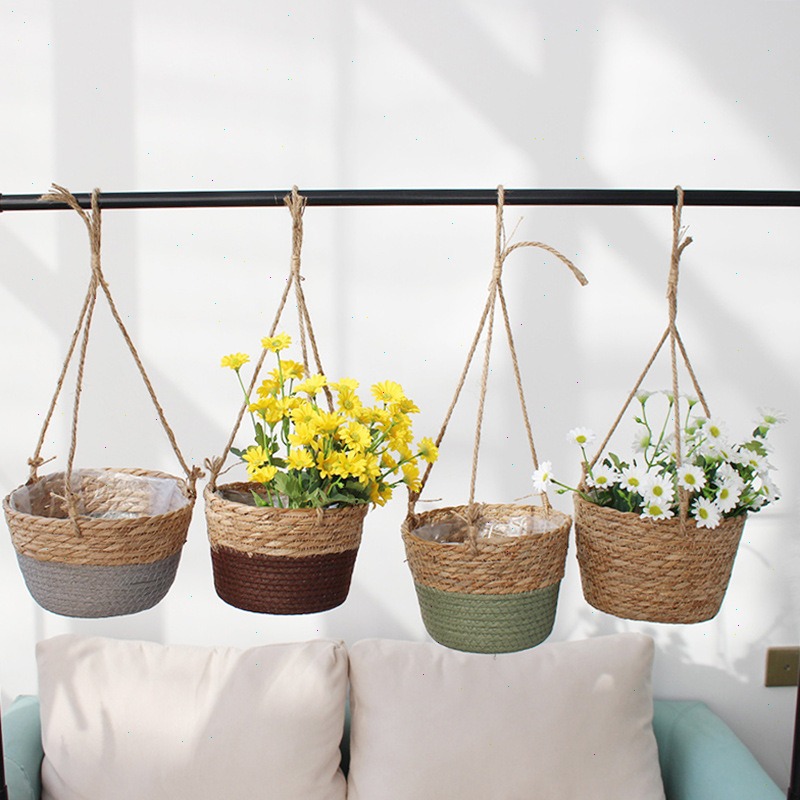 Spider Plant Hanging - Cesta colgante de paja, maceta, cuerda