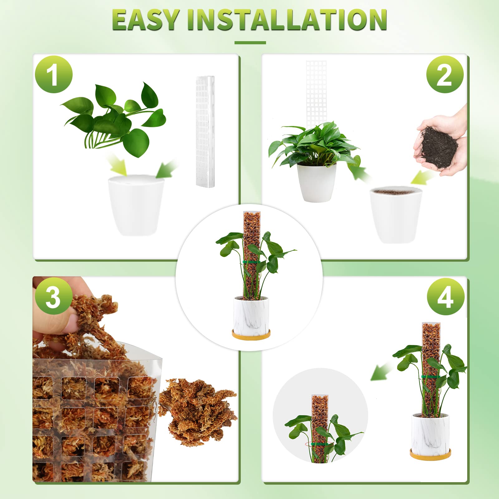 Postes de musgo, soporte para  - Echeveria Succulent reseña y precio