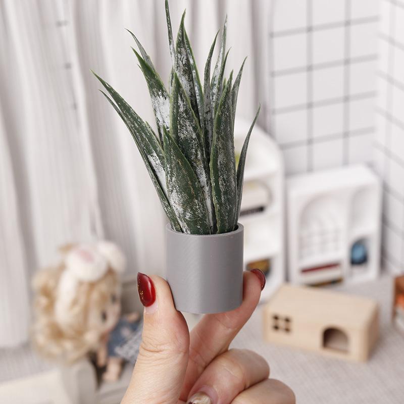Miniatura de Planta de Aloe Ve - Aloe Vera Pot reseña y precio