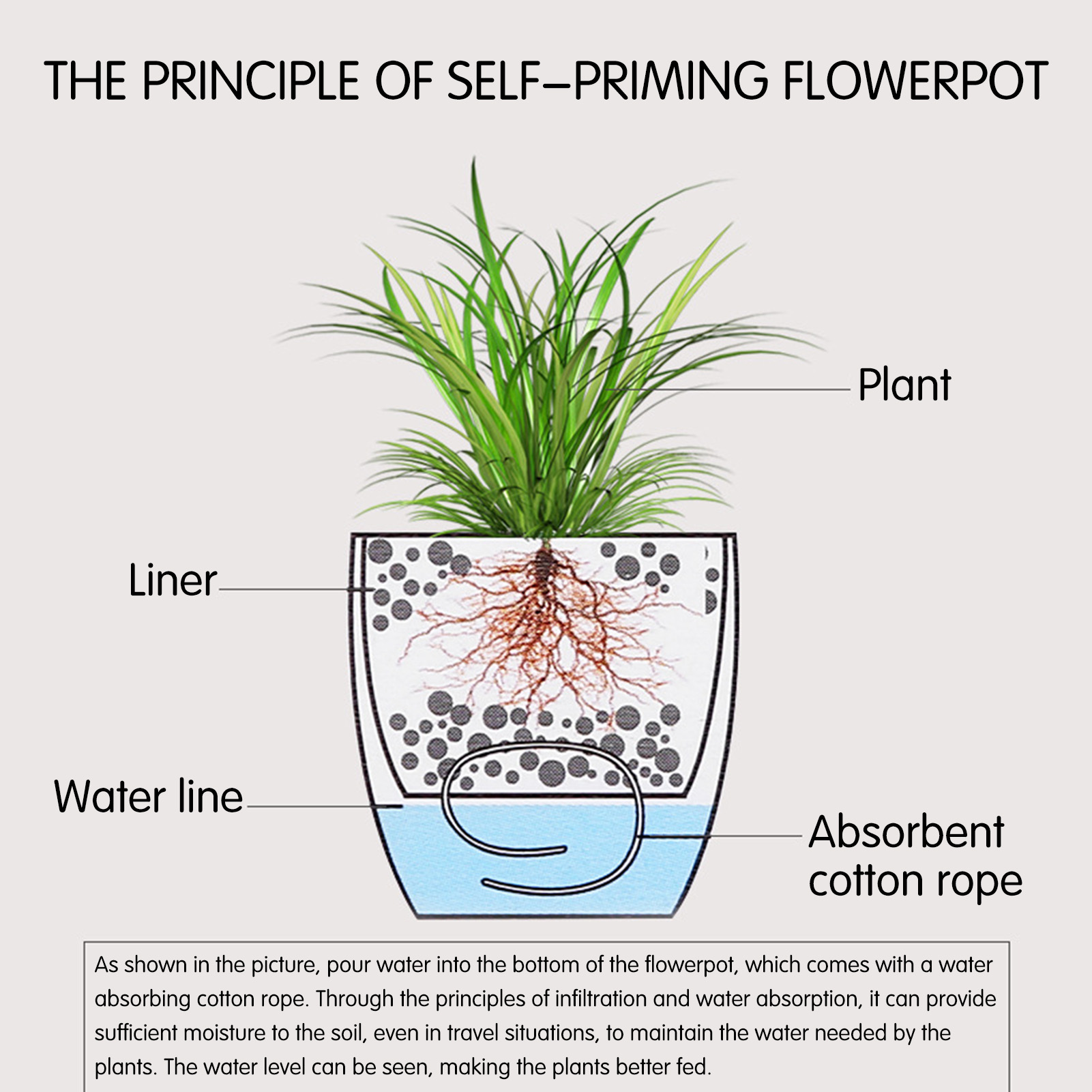 Macetas de plantas de flores c - Aloe Vera Pot reseña y precio
