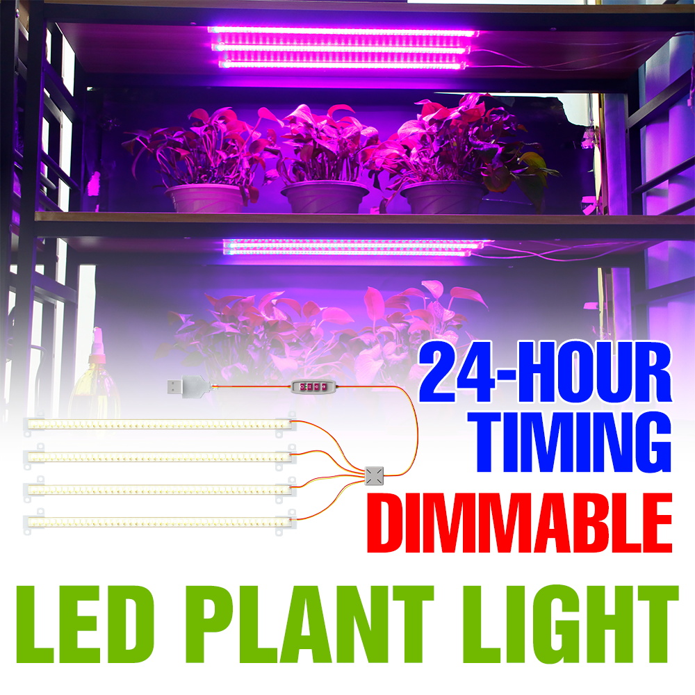 Barra de Luz LED para Plantas  - Echeveria Succulent reseña y precio