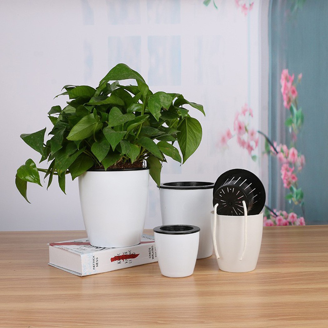 Maceta de flores de riego auto - Aloe Vera Pot reseña y precio