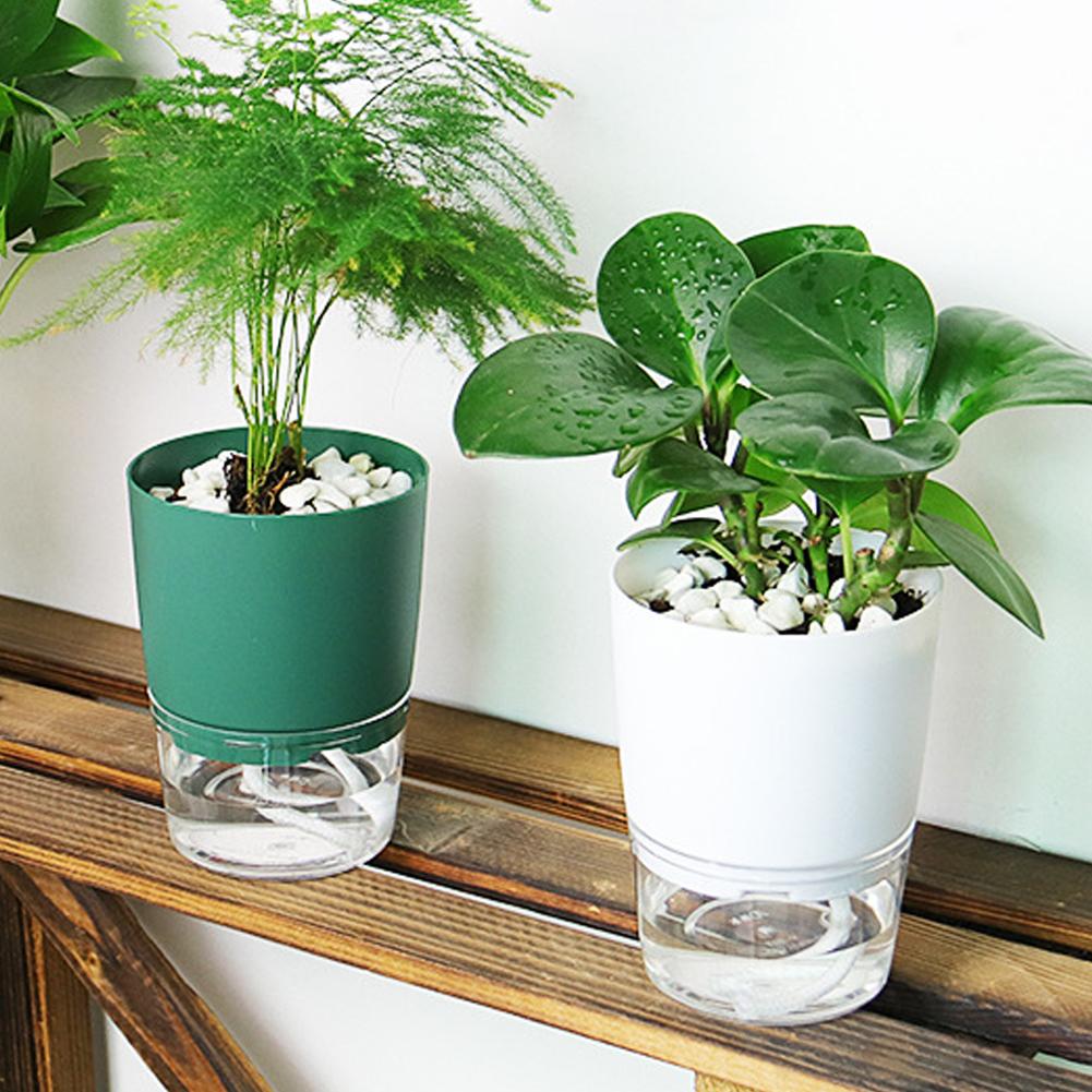 Maceta de Plástico con Autorri - Aloe Vera Pot reseña y precio